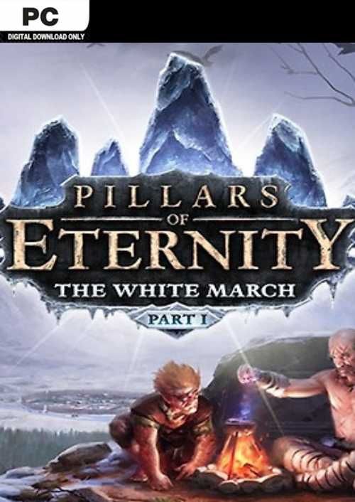 Pillars of Eternity The White March Part 1 PC CDKeys