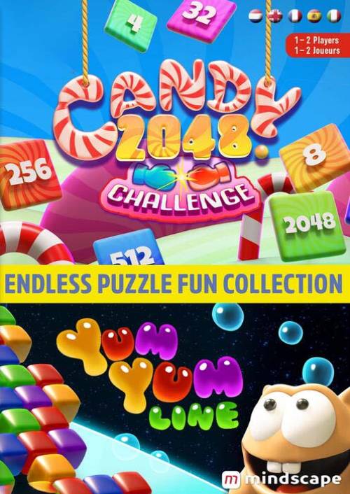 Endless Puzzle Fun Collection Switch (EU & UK)