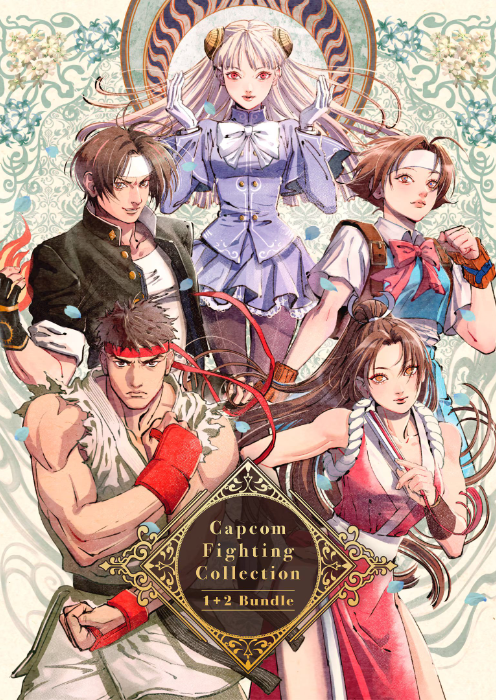 Capcom Fighting Collection 1 + 2 Bundle PC