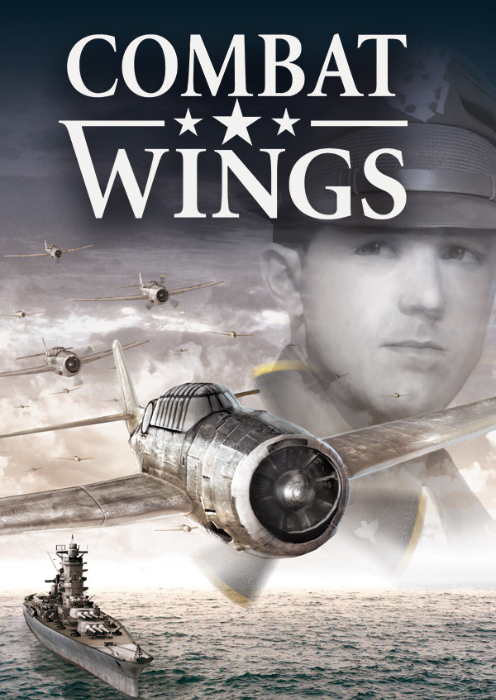 Combat Wings PC